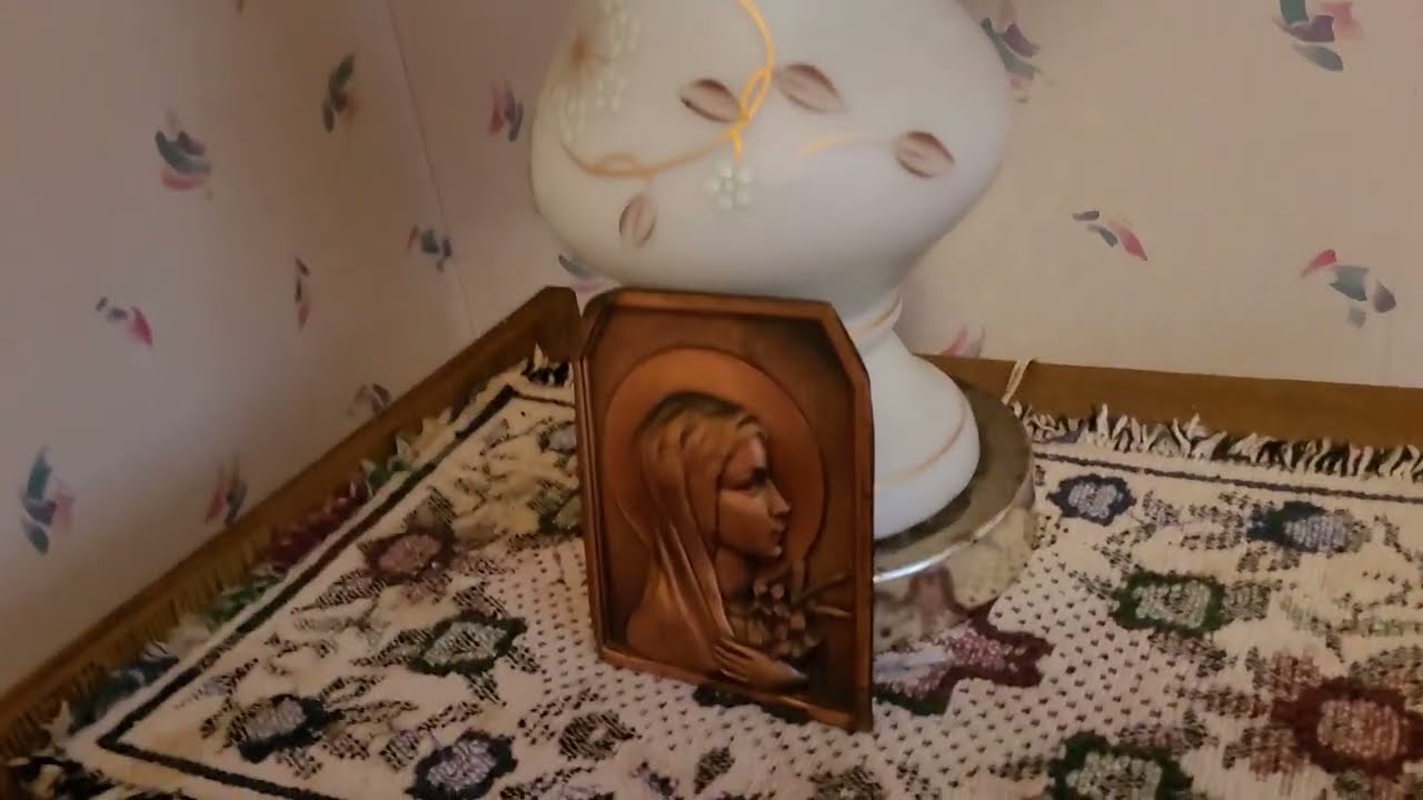 This abandoned Ontario time capsule house 🏠 is untouched for 7 years. Black mold covers the walls.