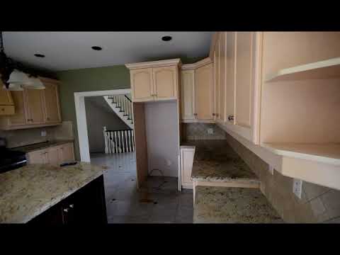 Toronto Moldy Basement Mansion