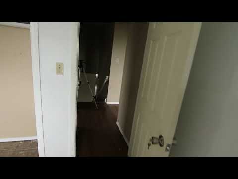 Rescuing a Trapped Bird in an Abandoned House