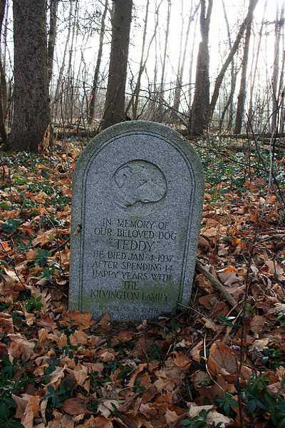 abandoned pet cemetery in Ontario