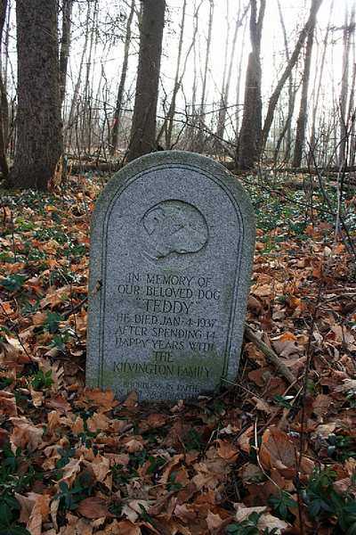 Read more about the article Abandoned Ontario Haunted Pet Cemetery (Aurora)
