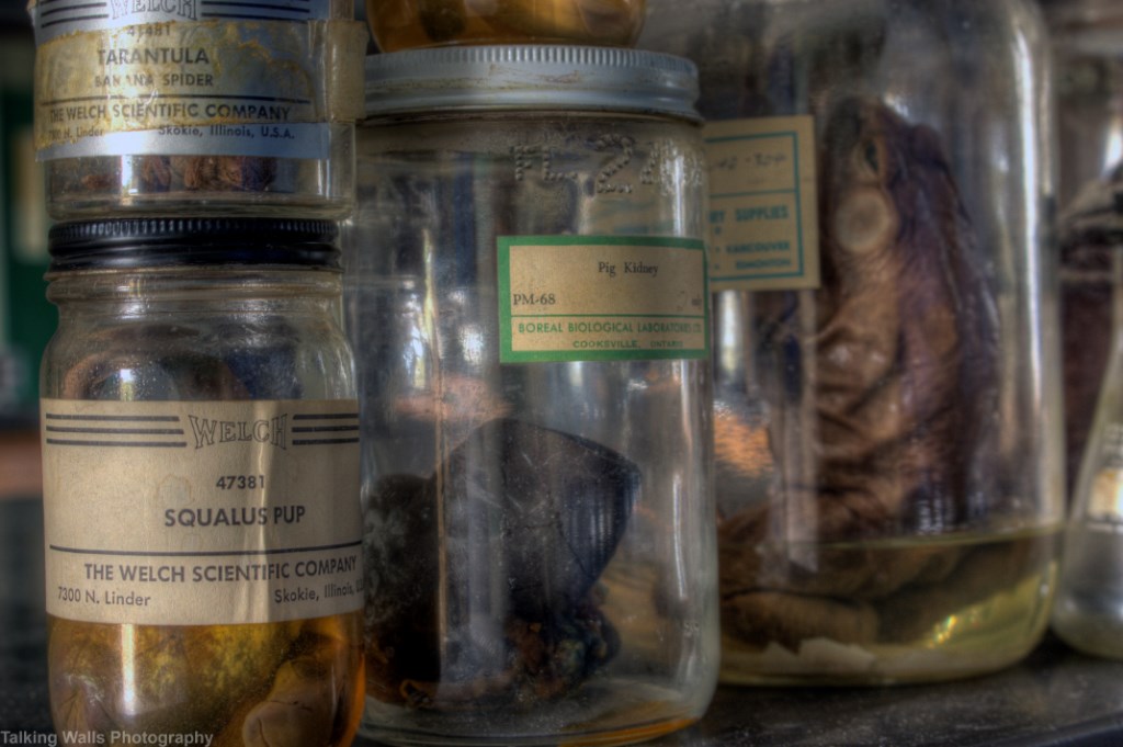 Almaguin Highlands Secondary School science lab jars