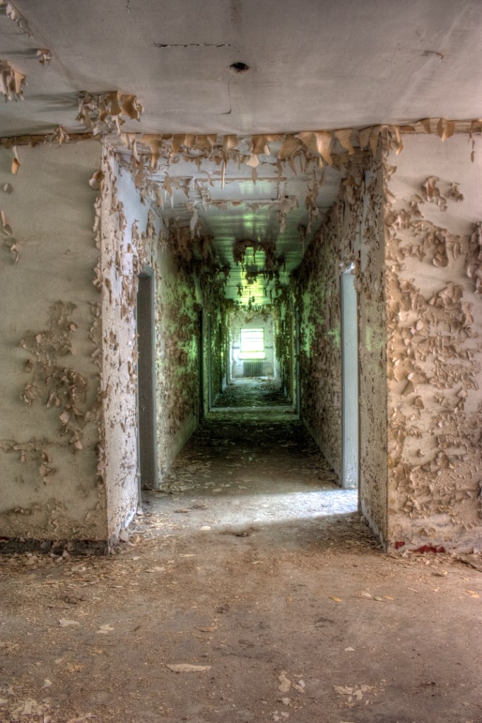 Abandoned Mushroom Dormitory in Ontario