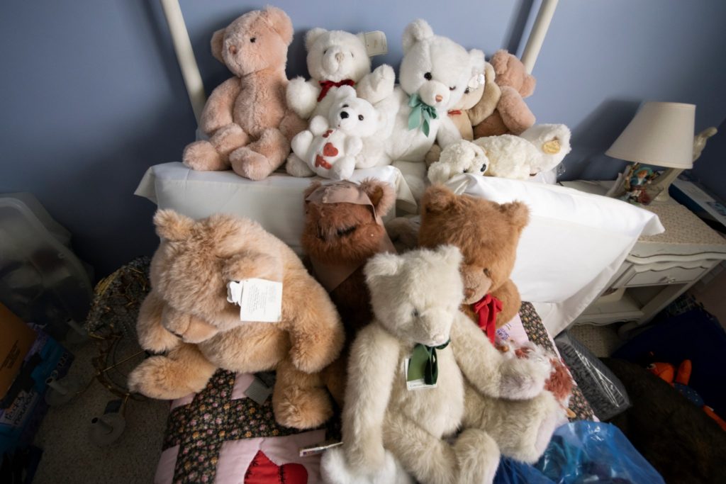 Read more about the article House of Stuffed Animals