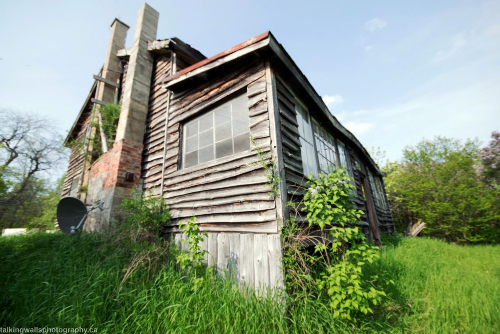Read more about the article Messy Yard Time Capsule House