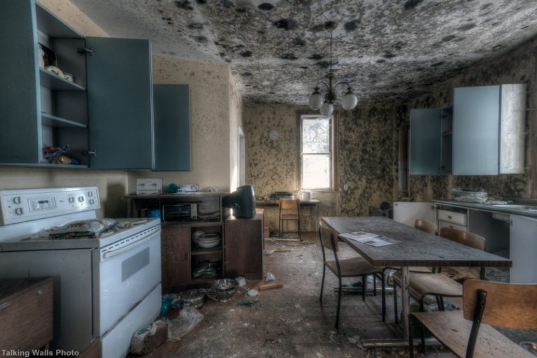 Black Mold Highway House