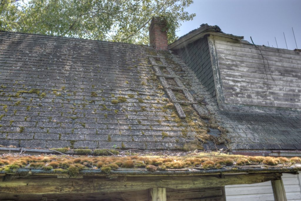 Manitoulin Island Abandoned Houses