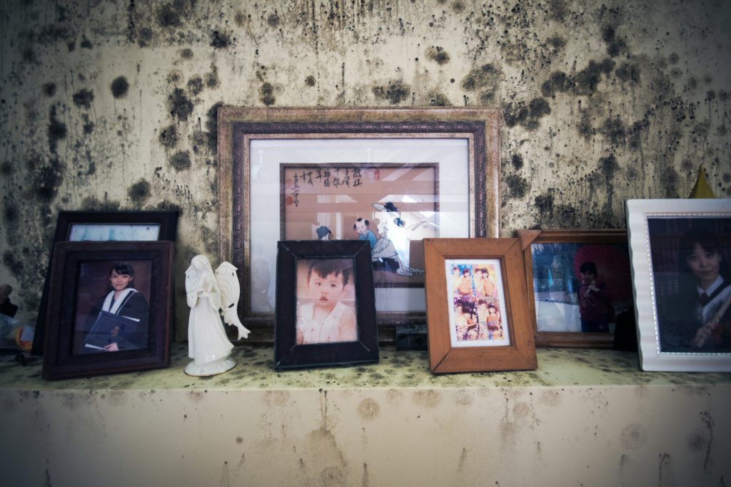 Read more about the article Markham Mansion of Mold