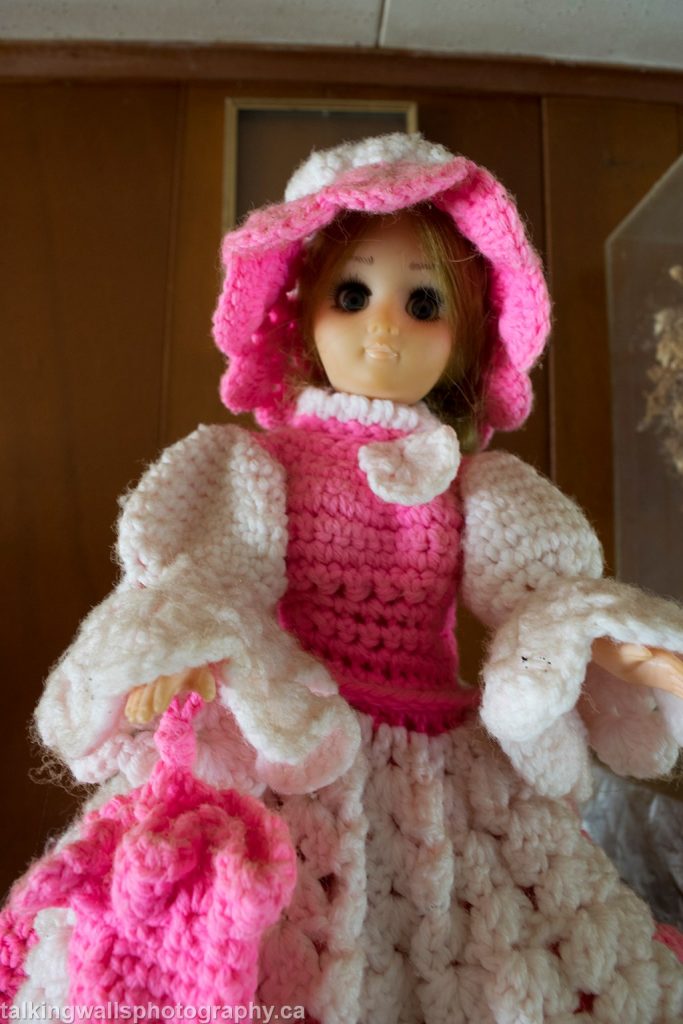 Read more about the article Time Capsule House of Antique Dolls in Ontario