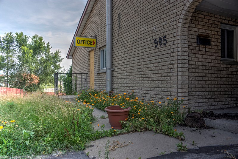 Read more about the article The Pines Motel in Hamilton