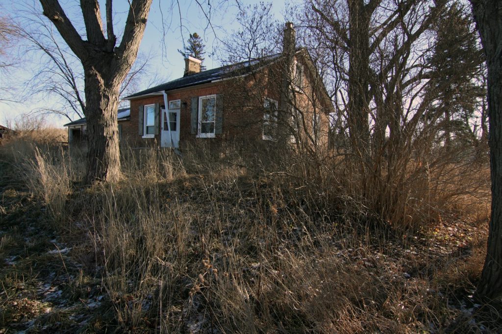 Read more about the article Something Stinks House (House of Flies)