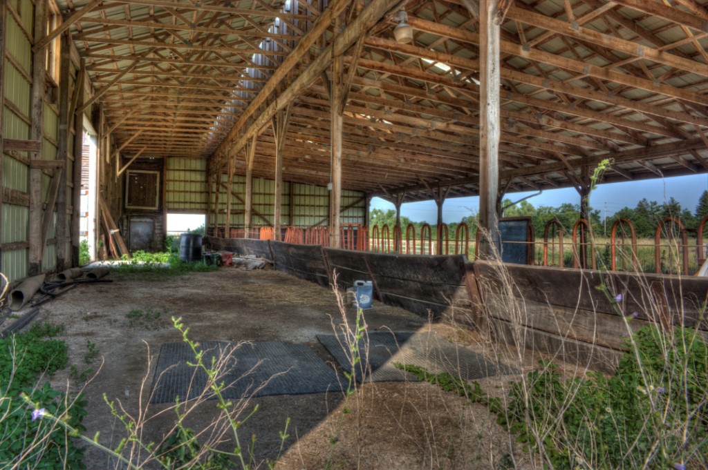 abandoned cattle farm ontario