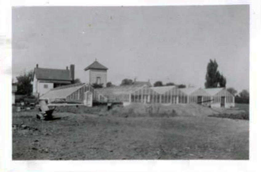 greenhouses