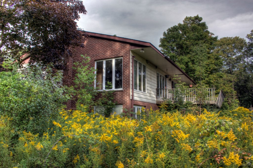 London Ontario House in the Swamp