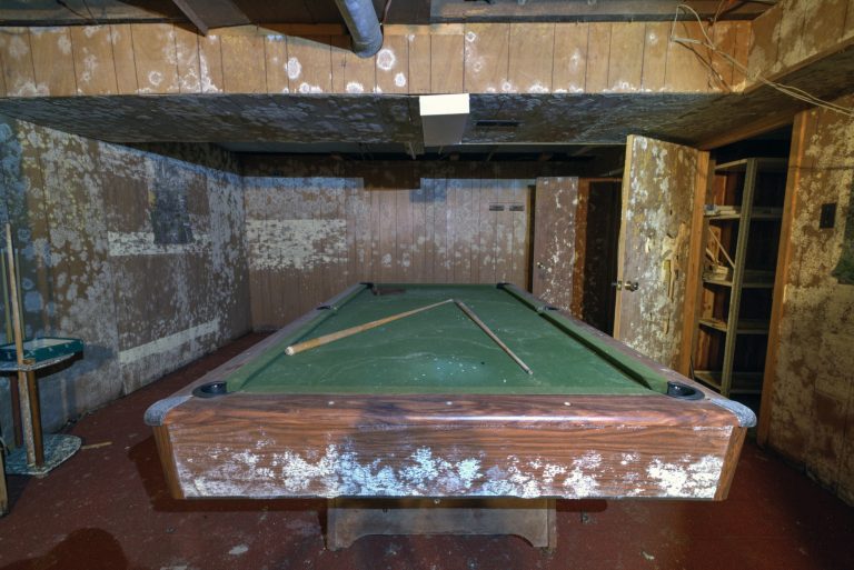 Moldy Pool Table House
