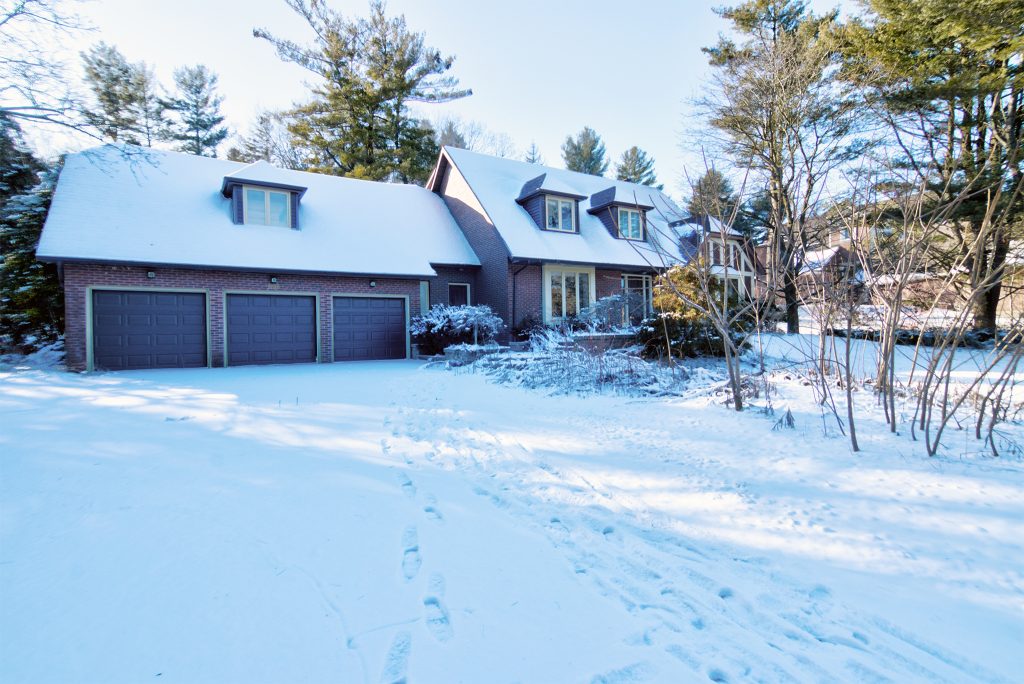 Read more about the article Cranky Dog Walker House
