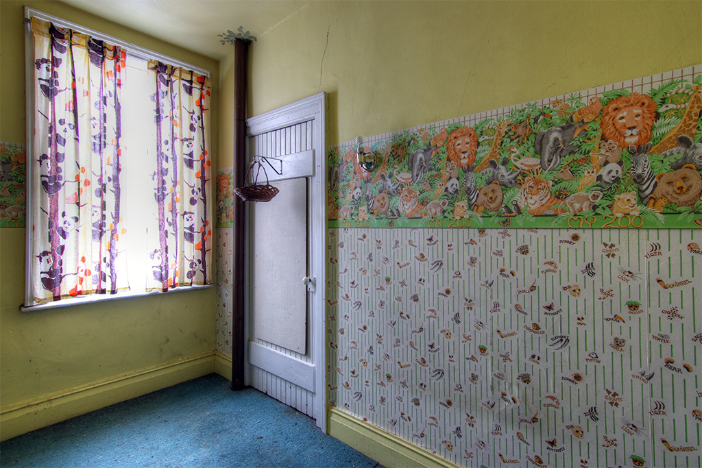 Read more about the article The Lion Wallpaper House