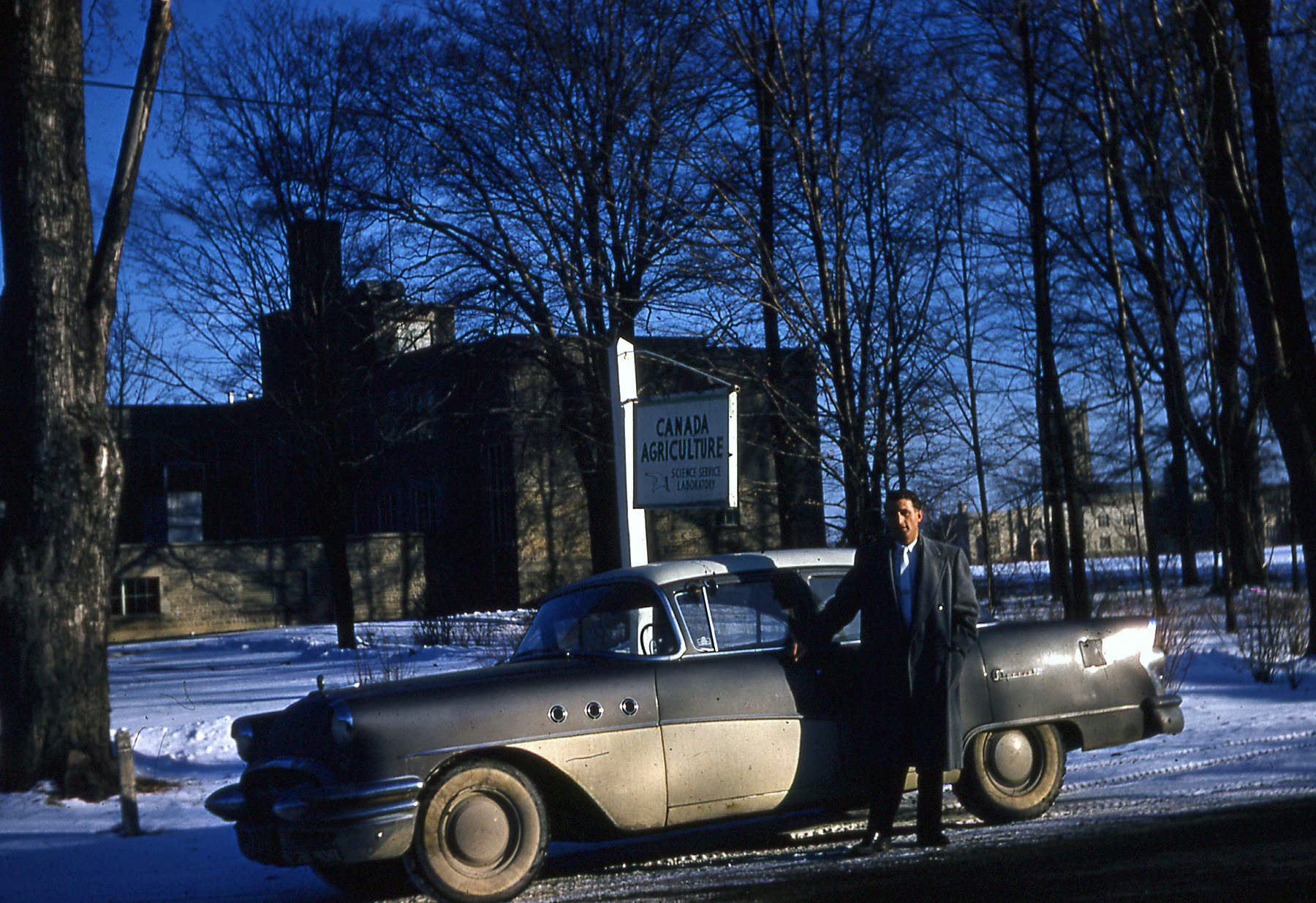 Read more about the article 35mm Slide Show