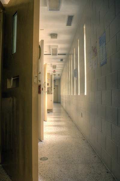 segregation cells
