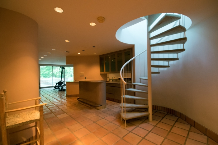 Wasted Space Mansion